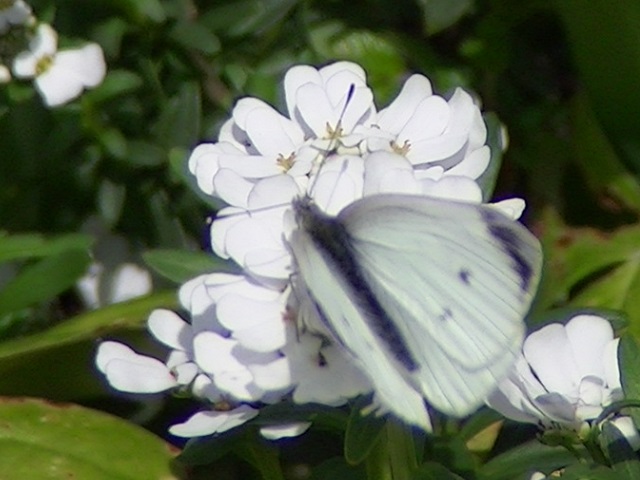 �`���E�`��