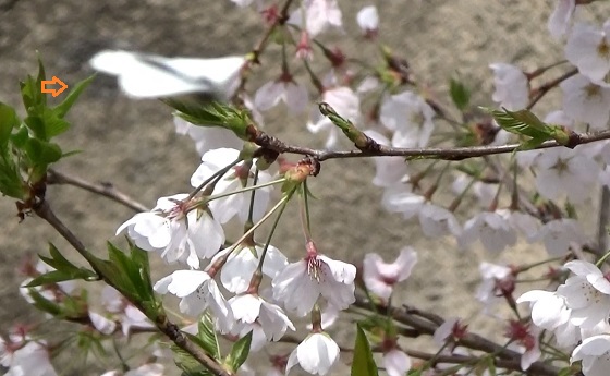 �`���E�`��