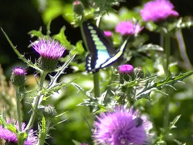 �`���E�`��