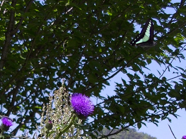 �`���E�`��