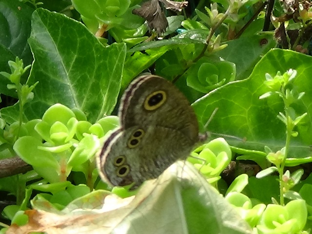 �`���E�`��