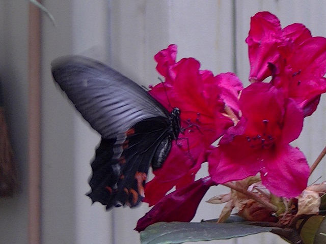 �`���E�`��