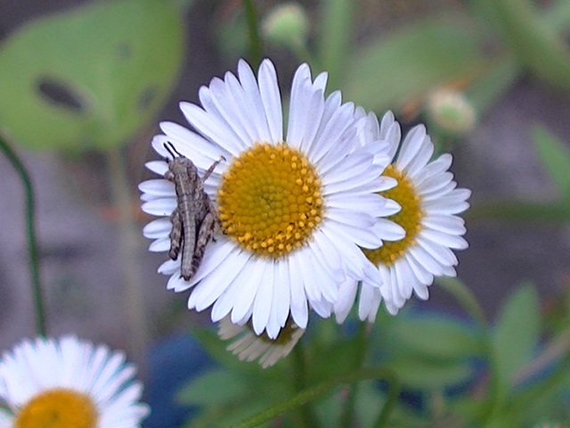 �`���E�`��