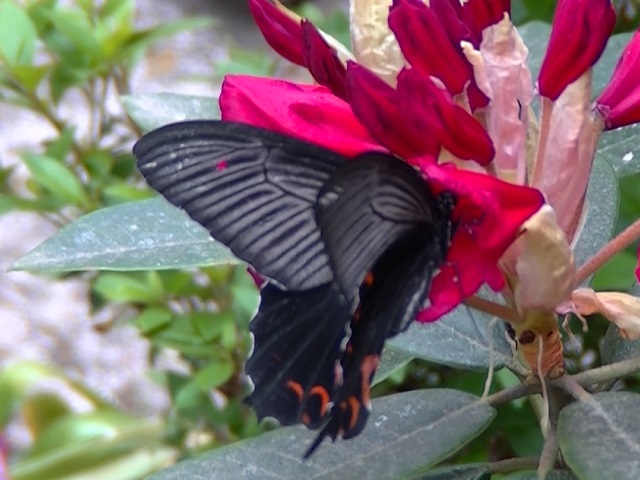 �`���E�`��