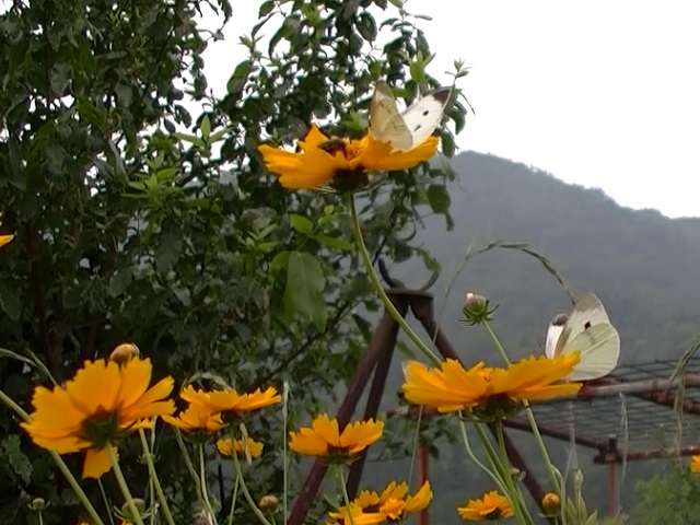 �`���E�`��