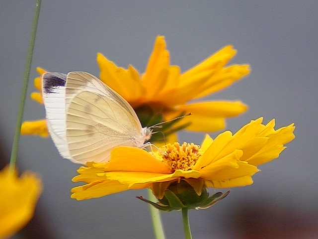 �`���E�`��