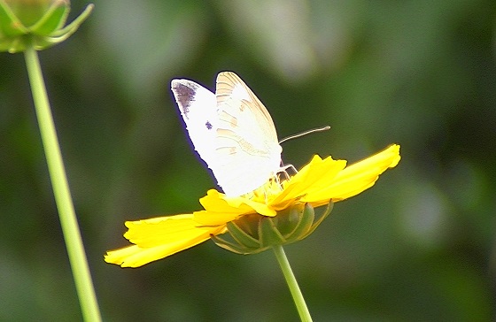 �`���E�`��