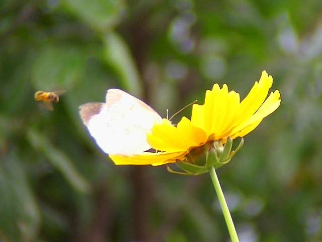 �`���E�`��