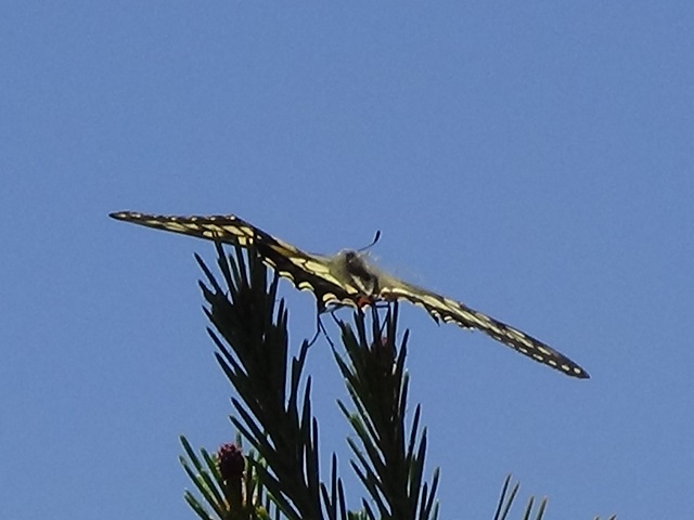 �`���E�`��