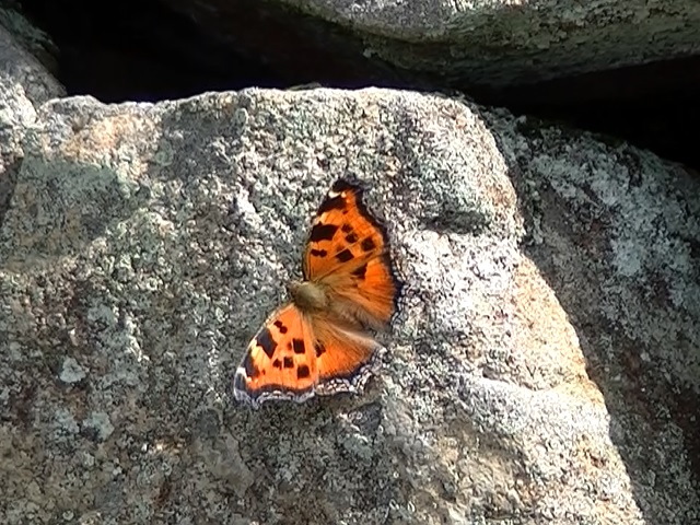 �`���E�`��