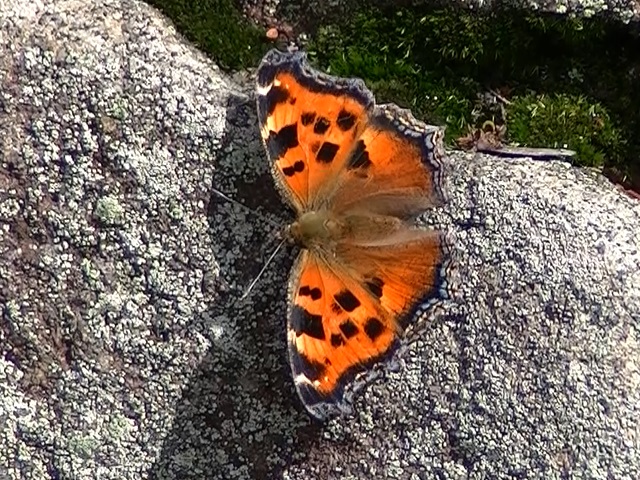 �`���E�`��