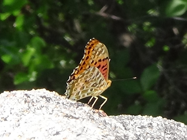 �`���E�`��