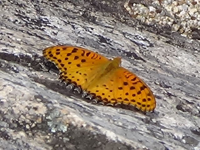 �`���E�`��