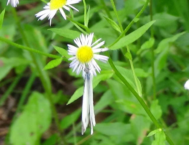 �`���E�`��