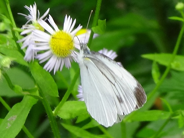 �`���E�`��