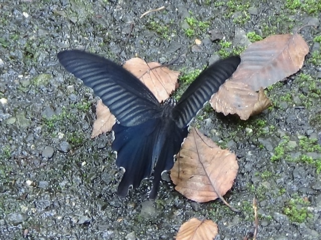 �`���E�`��