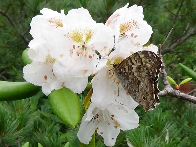 �`���E�`��