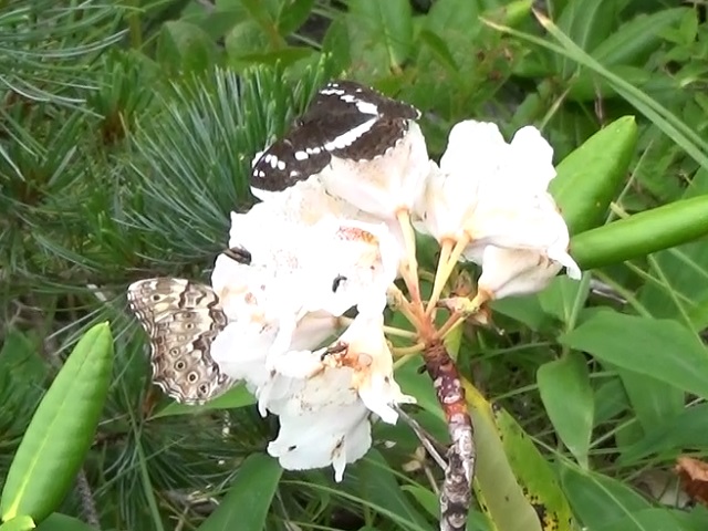 �`���E�`��