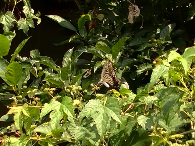 �`���E�`��