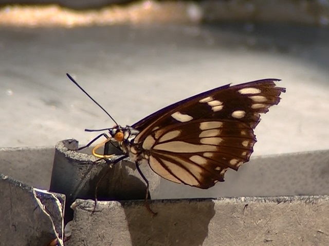 �`���E�`��