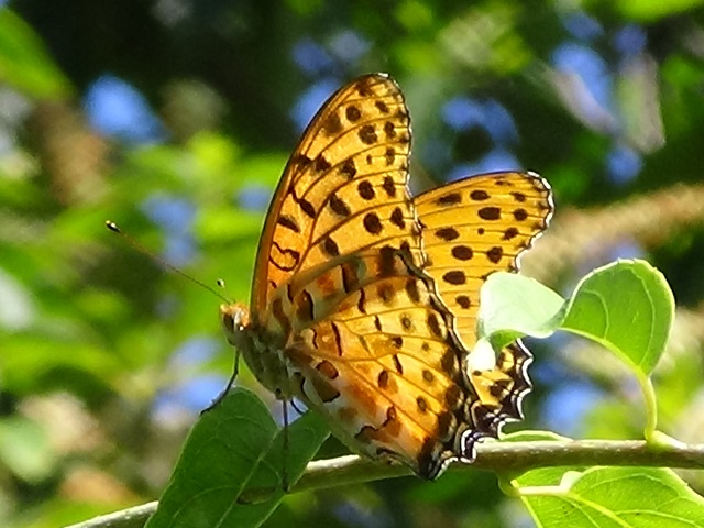 �`���E�`��