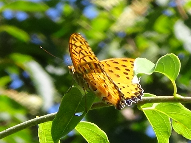 �`���E�`��