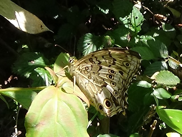 �`���E�`��