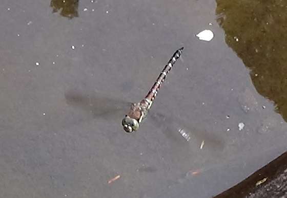 �`���E�`��