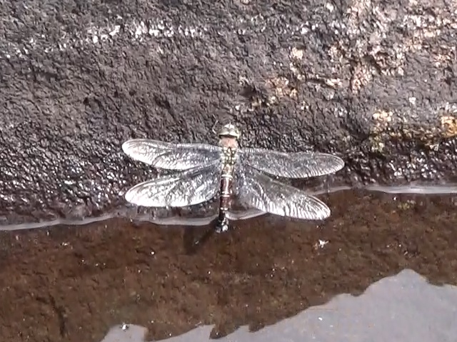 �`���E�`��