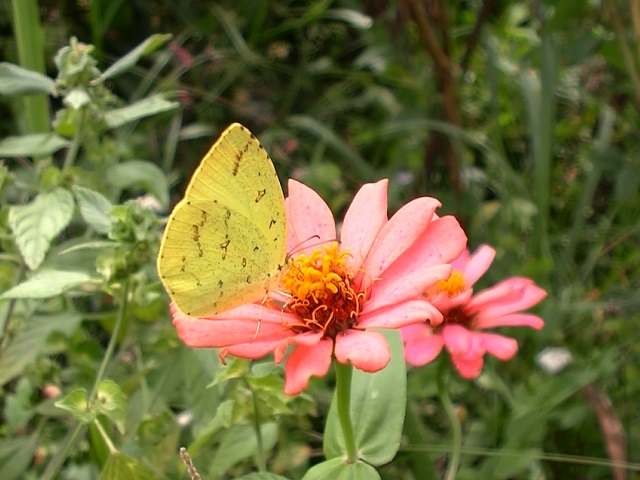 �`���E�`��