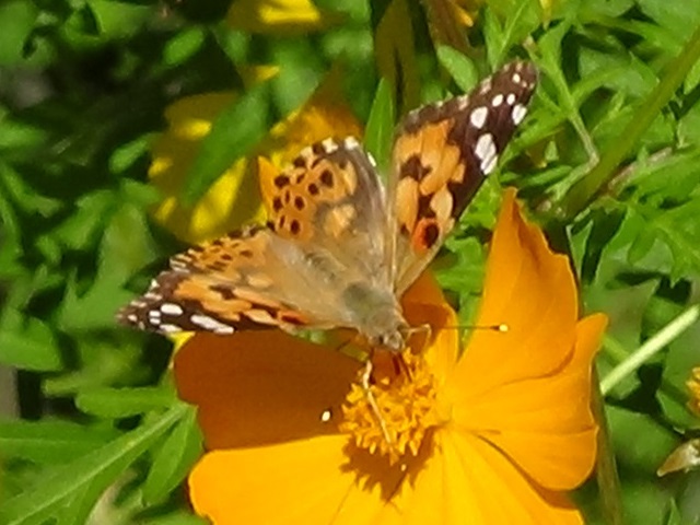 �`���E�`��