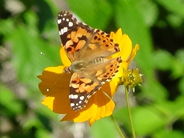 �`���E�`��