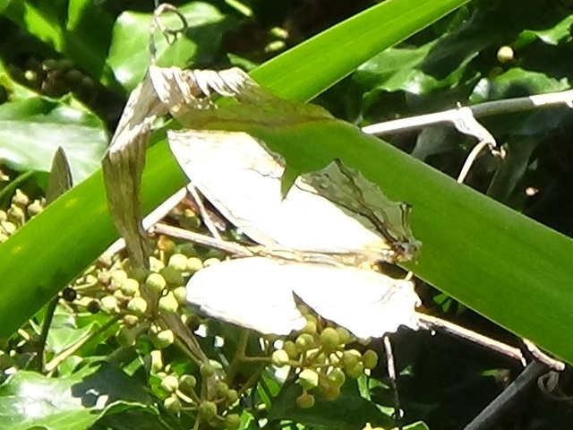 �`���E�`��