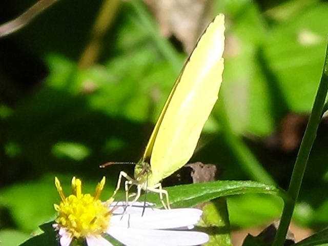 �`���E�`��