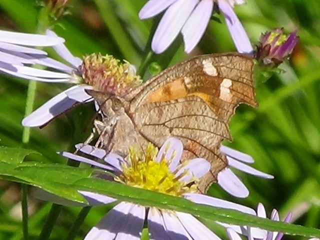 �`���E�`��