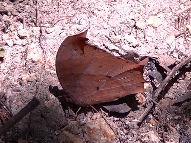 �`���E�`��