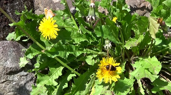 �`���E�`��