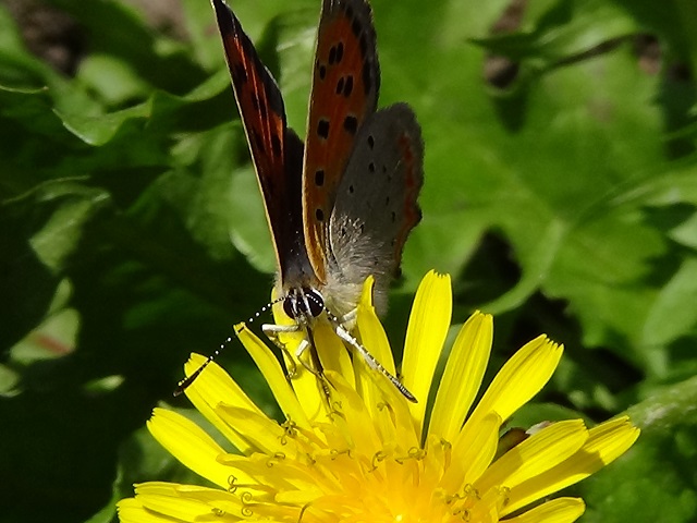 �`���E�`��