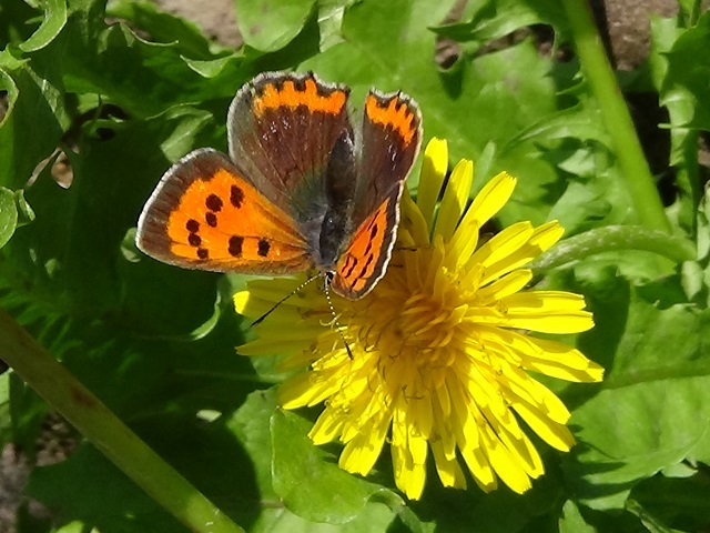 �`���E�`��