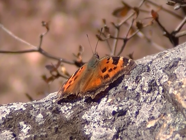 �`���E�`��