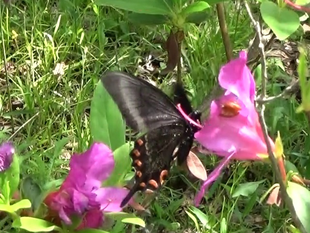 �`���E�`��