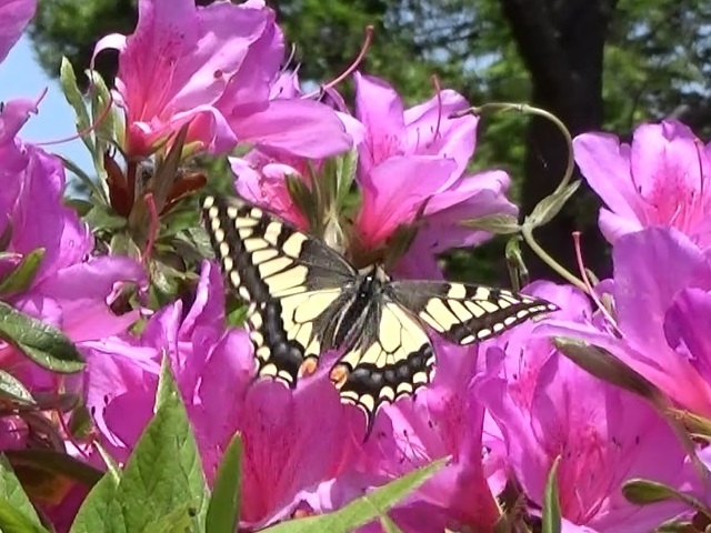 �`���E�`��