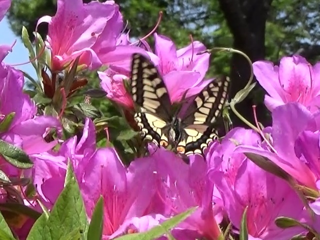 �`���E�`��