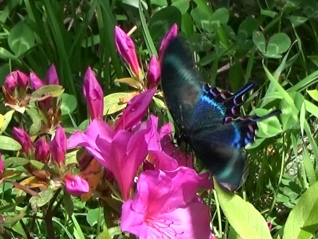 �`���E�`��