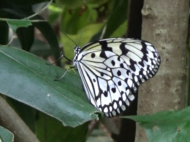 �`���E�`��