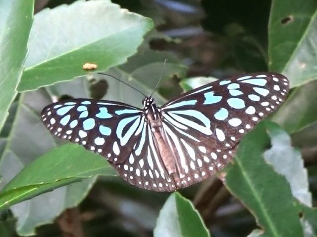 �`���E�`��