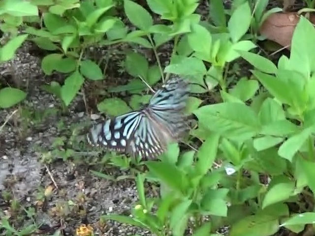 �`���E�`��