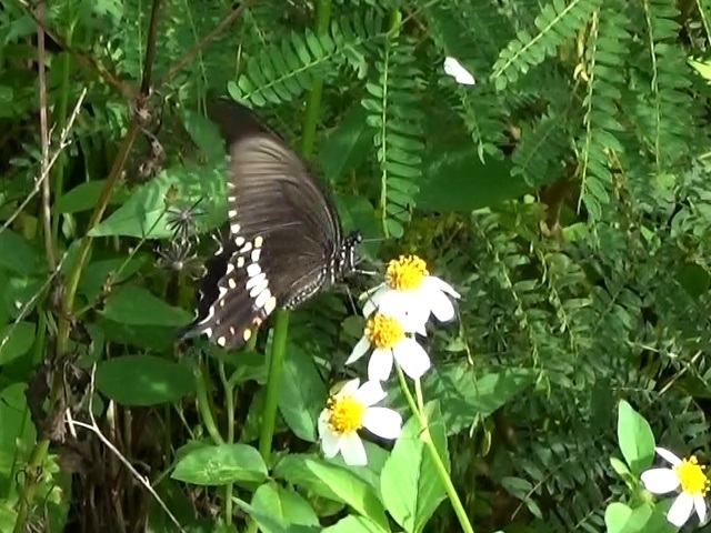 �`���E�`��