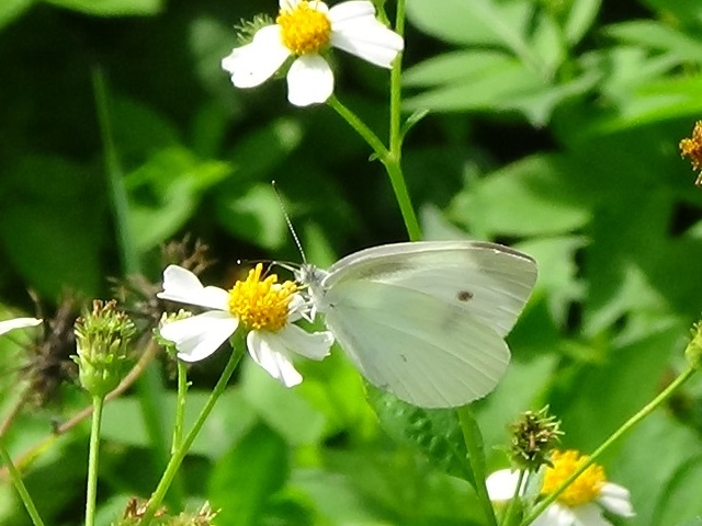 �`���E�`��