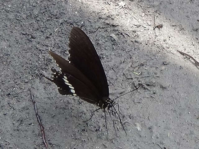 �`���E�`��